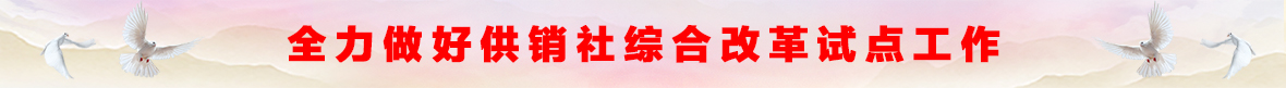 全力做好供销社综合改革试点工作